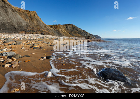 Falaises fossiles à Charmouth Plage. La Côte Jurassique, site du patrimoine mondial. Le Dorset. L'Angleterre. UK. Banque D'Images