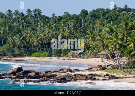 Paradise Palm Beach, Tangalle, au Sri Lanka Banque D'Images