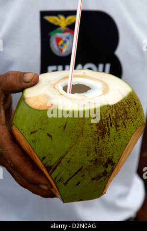 La noix de coco, Porto de Galinhas, Pernambuco, Brésil, Amérique du Sud Banque D'Images