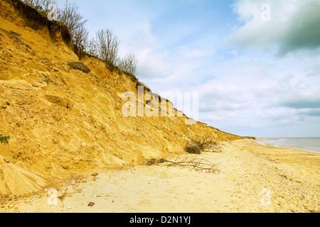 Sables glaciaires du Quaternaire sur cette côte qui a reculé de plus de 500m depuis l1830s, Covehithe, Suffolk, Angleterre, RU Banque D'Images