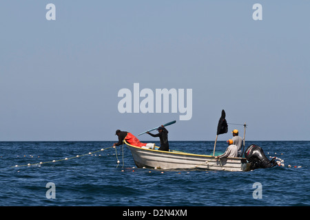 Panga filets réglage pêcheur, Isla San Marcos, Golfe de Californie (Mer de Cortez), Baja California Sur, au Mexique, en Amérique du Nord Banque D'Images