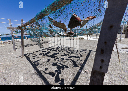 Les nageoires de requin séchant au soleil, Golfe de Californie (Mer de Cortez), Baja California Sur, au Mexique, en Amérique du Nord Banque D'Images