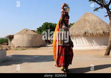 Transport de l'eau femme tribal Mir en pot d'acier, Gujarat, Inde, Asie Banque D'Images