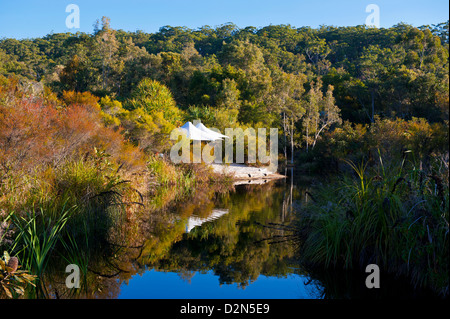 Kingfisher Resort, l'île Fraser, site du patrimoine mondial de l'UNESCO, Queensland, Australie, Pacifique Banque D'Images