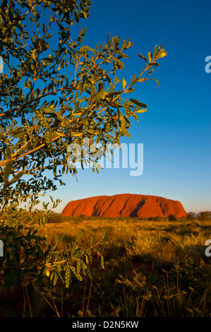 Uluru (Ayers Rock), le Parc National d'Uluru-Kata Tjuta, UNESCO World Heritage Site, Territoire du Nord, Australie, Pacifique Banque D'Images