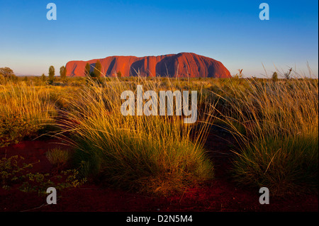 Uluru (Ayers Rock), le Parc National d'Uluru-Kata Tjuta, UNESCO World Heritage Site, Territoire du Nord, Australie, Pacifique Banque D'Images