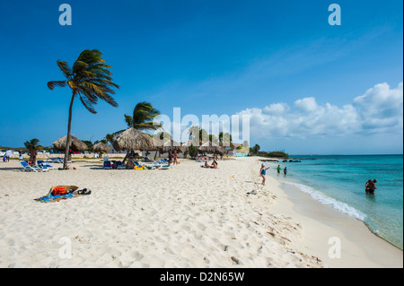 Malmuk beac, Aruba, les îles ABC, Netherlands Antilles, Caraïbes, Amérique Centrale Banque D'Images