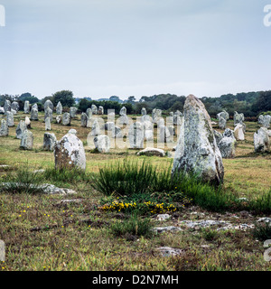 L'alignement des menhirs Carnac Bretagne France Europe Banque D'Images