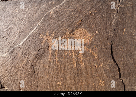 Rock art sur le site de l'Oued Foum Chenna, Tasminaret Valley, le Maroc, l'Afrique du Nord Banque D'Images