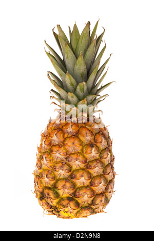 Un ensemble de fruits ananas, in front of white background Banque D'Images