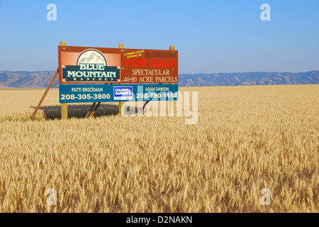 La publicité extérieure terrain à vendre ouvrir dans une ferme dans le sud-est de Washington. Banque D'Images