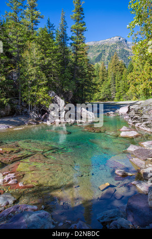 McDonald Creek le long d'aller à la route du soleil, dans le parc national des Glaciers dans les Montagnes Rocheuses du Montana Banque D'Images