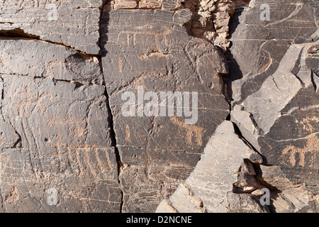 Rock art sur le site de l'Oued Foum Chenna, Tasminaret Vallée, Tinzouline, vallée du Drâa, Maroc, Afrique du Nord Banque D'Images