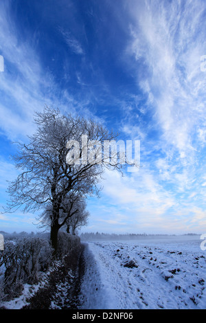 Hoare givre hiver sur scène Bulwick, champs, village Rockingham Forest, Northamptonshire, Angleterre ; Grande-Bretagne ; UK Banque D'Images