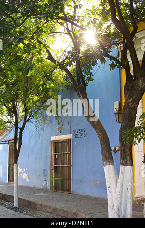 Mur bleu avec la lumière du soleil à travers les arbres dans une ville mexicaine. Banque D'Images