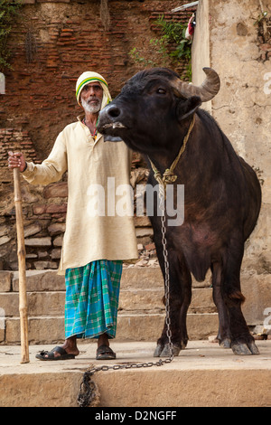 Éleveur de vache, Varanasi, Inde Banque D'Images