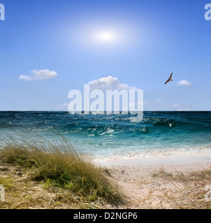 ​​Beach la mer et d'une mer bleue Banque D'Images