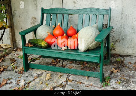 Dekoration mit Kuerbissen - Décorer avec des citrouilles • Landkreis Schwaebisch Hall, Bade-Wurtemberg, Allemagne Banque D'Images