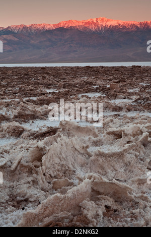 Matin alpenglow sur pic au-dessus du télescope embarqué cobaltifères dans la sel Badwater Pan, Death Valley National Park, en Californie. Banque D'Images