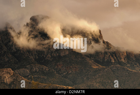 Coucher de soleil sur les montagnes Santa Catalina à Coronado National Forest dans le désert de Sonora, Catalina, Arizona, USA. Banque D'Images