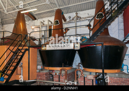 L'Écosse, Campbeltown, la distillerie Springbank, alambics en cuivre Banque D'Images