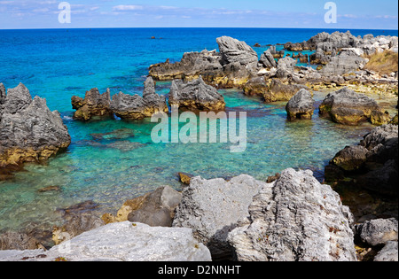 Belle plage avec des affleurements de corail aux Bermudes Banque D'Images