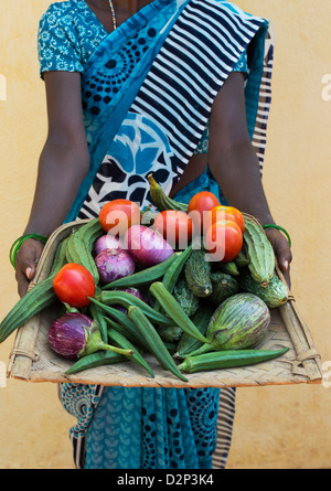 Village de l'Inde rurale femme tenant un plateau de légumes indiens dans ses mains. L'Andhra Pradesh, Inde Banque D'Images