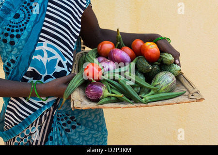 Village de l'Inde rurale femme tenant un plateau de légumes indiens dans ses mains. L'Andhra Pradesh, Inde Banque D'Images