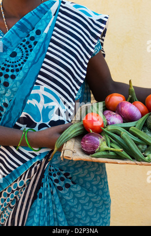 Village de l'Inde rurale femme tenant un plateau de légumes indiens dans ses mains. L'Andhra Pradesh, Inde Banque D'Images