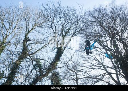 Les derniers manifestants sont retirés des arbres à l'étang de leurre Combe Haven . Bexhill - Hastings Bypass. Il y a une énorme présence de sécurité - au milieu d'un marais boueux. Environ 100 policiers et tourné vers le haut et la sécurité . 15 personnes restent dans les arbres East Sussex conseil pays pousser pour la construction de routes a refusé de permettre à l'alimentation et la médecine dans les arbres. L'arborescence des manifestants samedi 3 nuits de tempête et de la pluie Banque D'Images