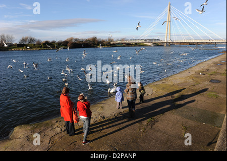 Nourrir les oiseaux de la famille, le lac marin, Southport. Marine Way Bridge en arrière-plan Banque D'Images