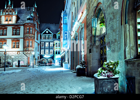 Scènes de nuit d'hiver de guanaco en Bavière, Allemagne Banque D'Images