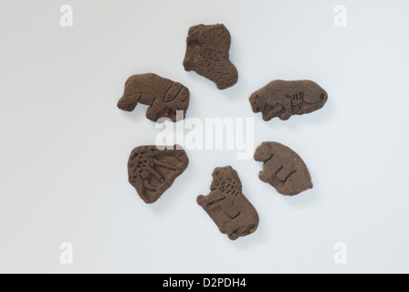 Les cookies au chocolat en forme d'animaux sur fond blanc avec des ombres, l'éléphant, l'agneau, le couguar, l'ours, le lion, la girafe de formes Banque D'Images