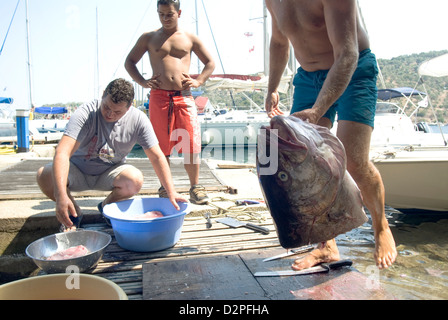 La préparation de Chair de Thon Blanc Germon tête de poisson pour la cuisson sur la rive Banque D'Images