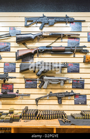 Une grande variété de pistolets, fusils et armes à feu, un fusil store. Banque D'Images