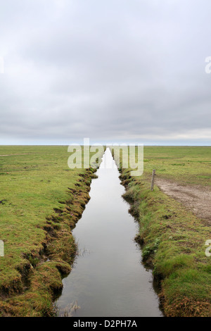 Hallig Hooge, Allemagne, canal entre pâturages Banque D'Images