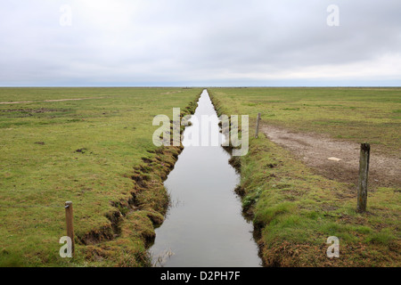 Hallig Hooge, Allemagne, canal entre pâturages Banque D'Images