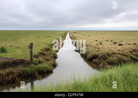 Hallig Hooge, Allemagne, canal entre pâturages Banque D'Images