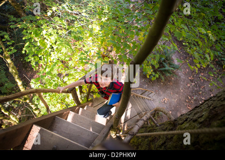 Young boy climbing ladder à tree house Banque D'Images