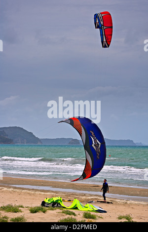 Le kitesurf sur la plage à Arcachon, au nord d'Auckland, île du Nord, en Nouvelle-Zélande. Banque D'Images