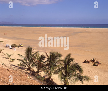 Dunes de sable et mer, Jandia, Municipalité Pájara, Fuerteventura, îles Canaries, Espagne Banque D'Images