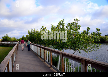 Un couple se promener sur un bord de marche le long de la côte de la mangrove. Le Parc National des Everglades, en Floride, aux États-Unis. Banque D'Images