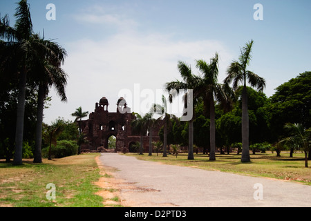 Les arbres le long d'un chemin dans un fort, Vieux Fort, Delhi, Inde Banque D'Images