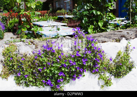 Les tables d'un restaurant, le restaurant Blue Door, Adare, comté de Limerick, Irlande Banque D'Images