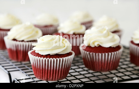 Red Velvet cupcakes avec glaçage au fromage à la crème Banque D'Images