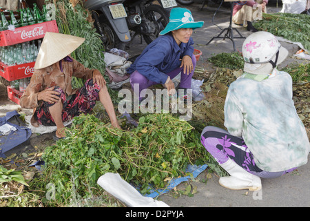 Les femmes trier leurs produits à Hoi An riverside market, Hoi An, Vietnam, Indochine, Asie du Sud-Est, l'Asie Banque D'Images