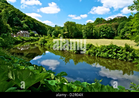 Les banques de la rivière Rance, Dinan, Bretagne, France, Europe Banque D'Images