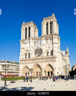 Façade de la Cathédrale Notre Dame, l'Ile de la Cité, Paris, France, Europe Banque D'Images