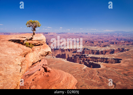 Grand View Point oublier et Juniper Tree Island, dans le ciel, Canyonlands National Park, Utah, USA Banque D'Images