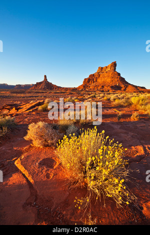 Poule et coq assis Butte Butte au coucher du soleil, la Vallée des Dieux, Utah, États-Unis d'Amérique, Amérique du Nord Banque D'Images